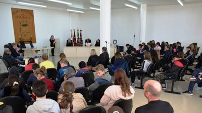 Vereadores Mirins Publico